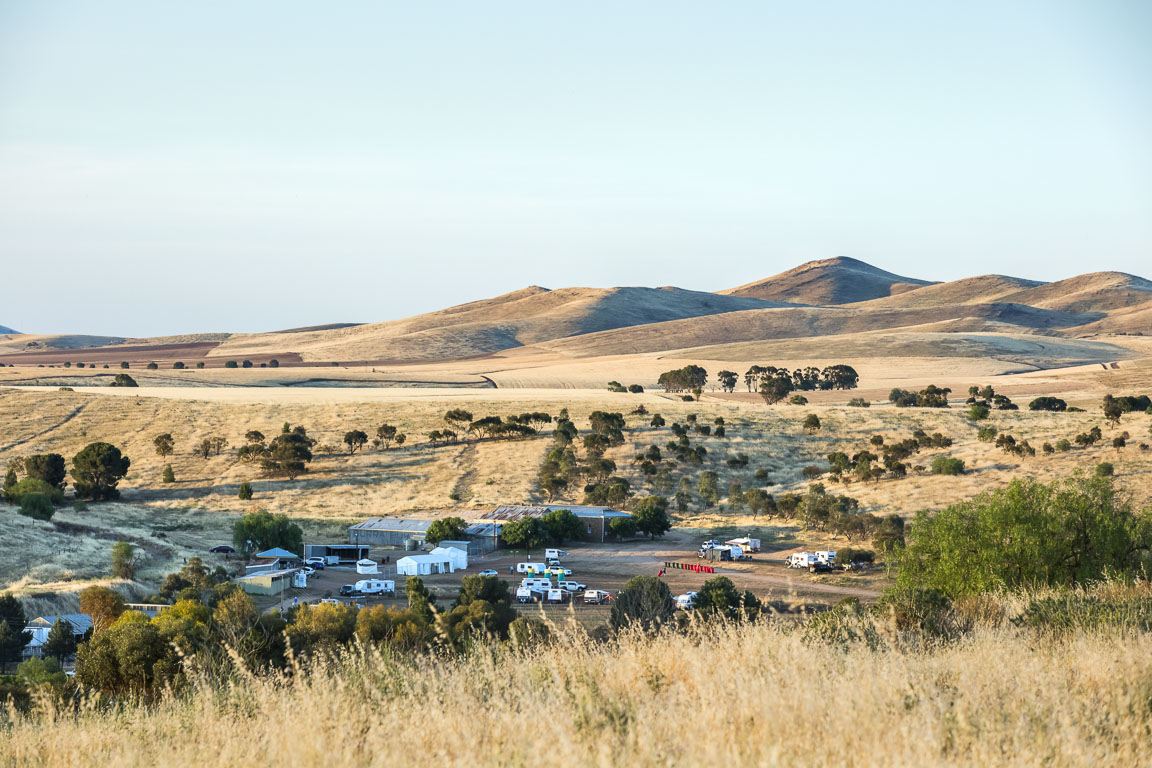 Rolling hills and open country on the edge of Burra at golden hour