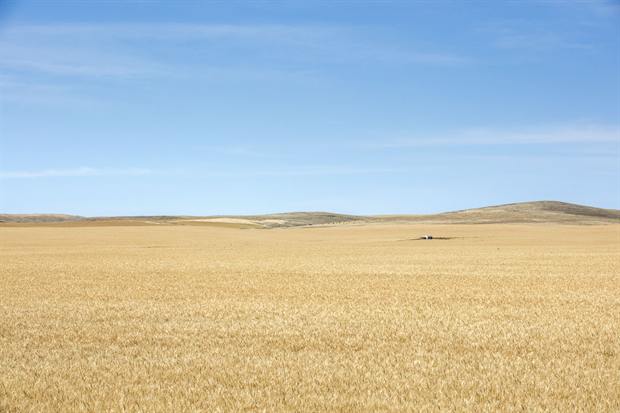 Burra township and the surrounding countryside